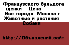 Французского бульдога щенки  › Цена ­ 35 000 - Все города, Москва г. Животные и растения » Собаки   